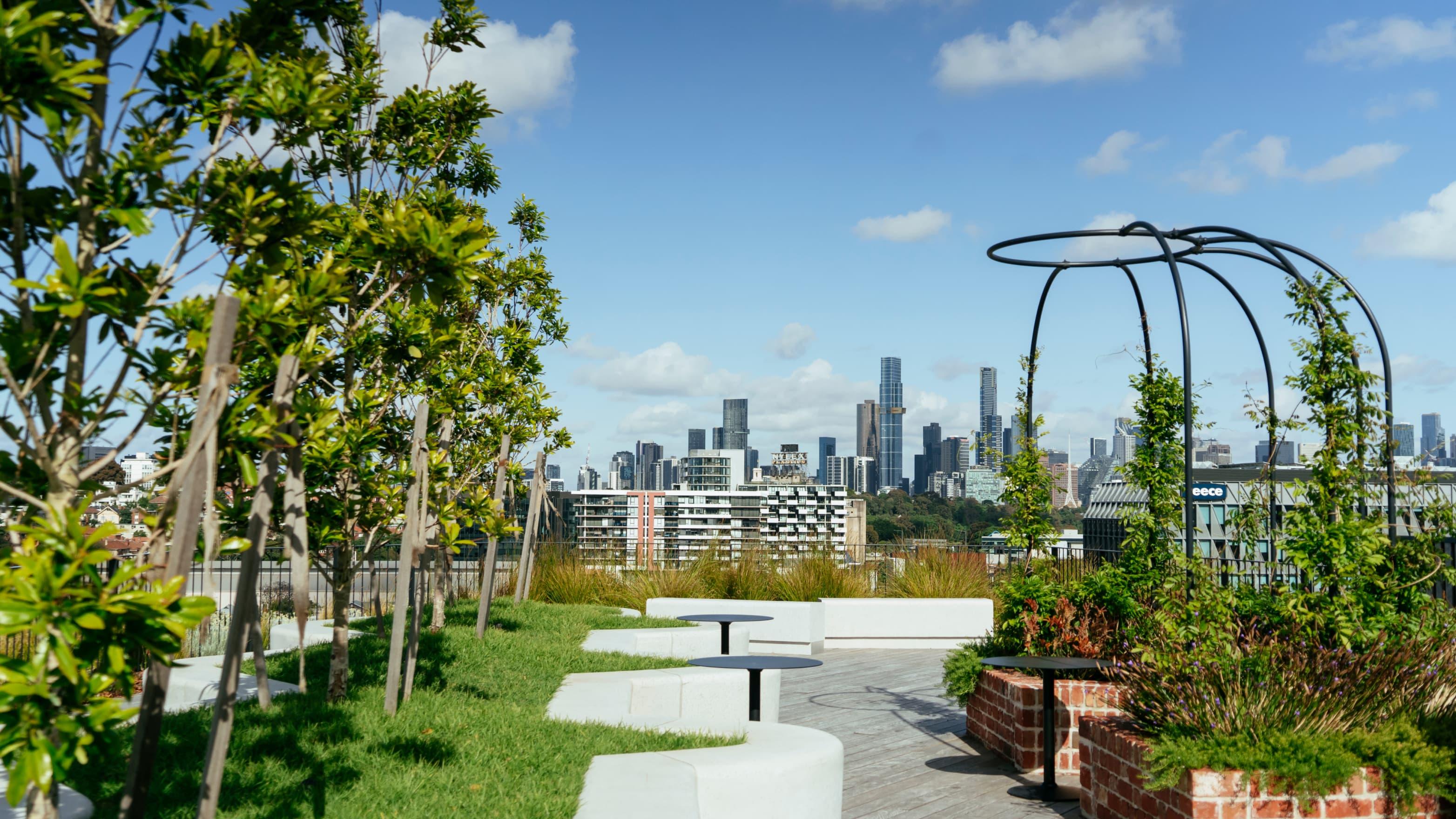 Amazing view on the roof of the office