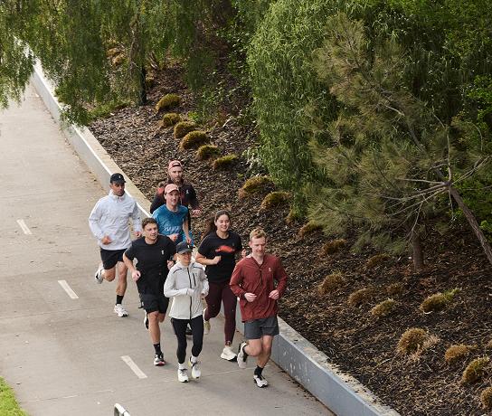 Eight people jog together along a paved path beside a mulched, tree-lined slope.