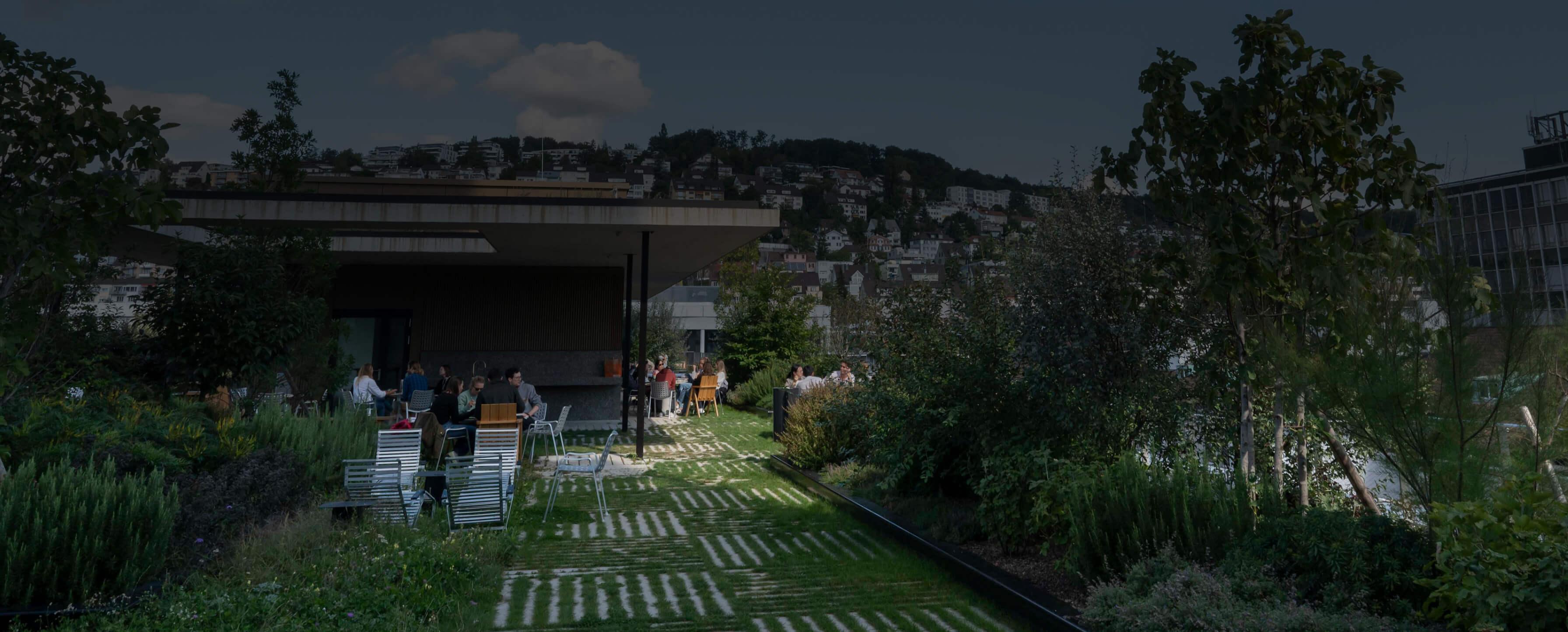 garden with trees and people