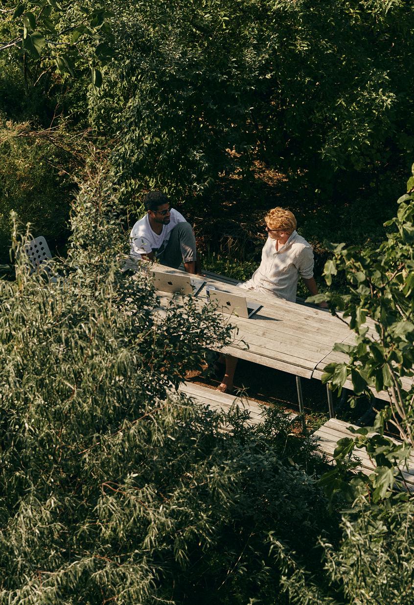 Two people sit at a wooden picnic table surrounded by dense greenery with laptops open in front of them.