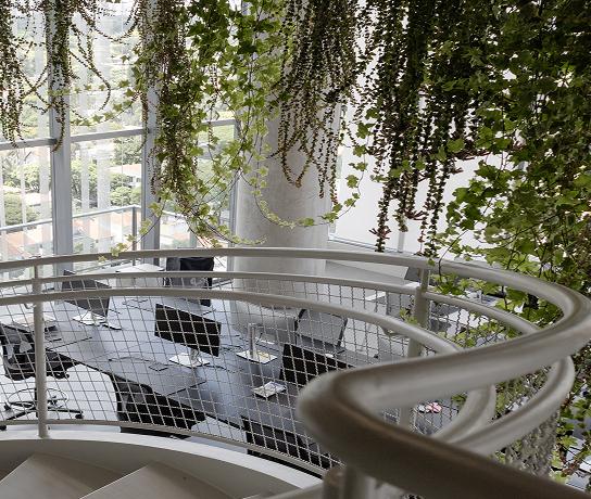 Curved metal staircase with mesh railing overlooks a modern open office with desks and computer monitors beneath hanging green plants and large windows.