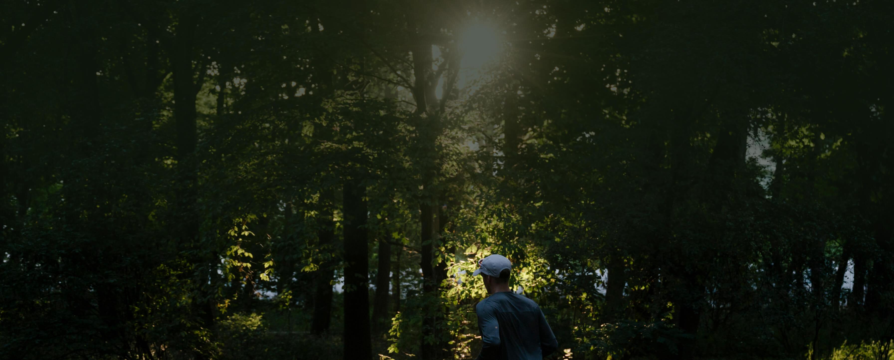 dark forest with sunshine coming through onto jogger