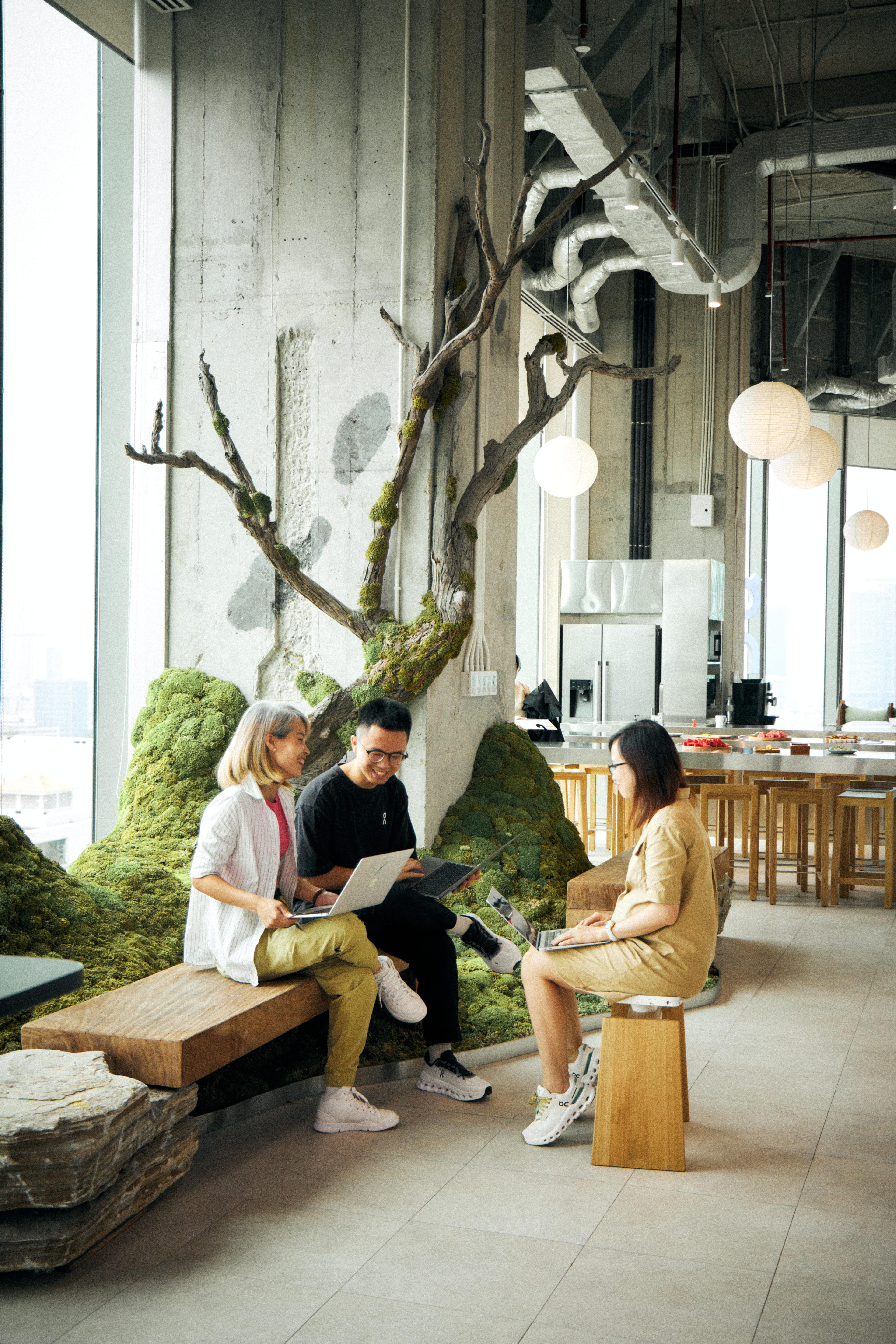 three people having a meeting by a tree inside an office