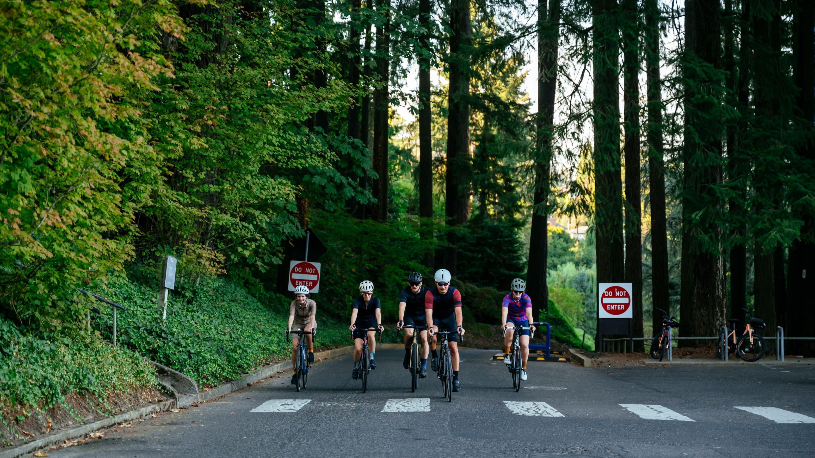 A big group of cyclists rides in the forest